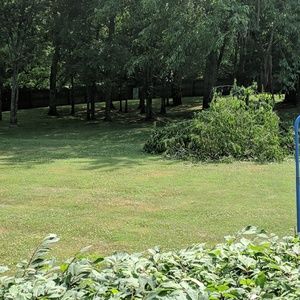 Meet your Posher, Rea